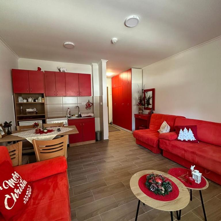 Silver Pine Kopaonik - Apartman sa 1 Spavaćom Sobom - 16