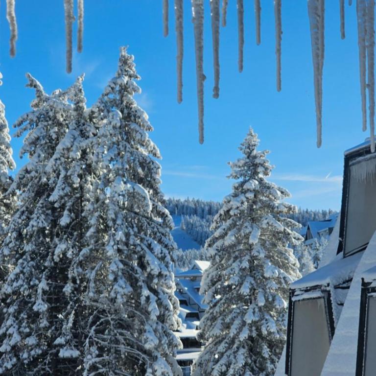 Silver Pine Kopaonik - Apartman sa 1 Spavaćom Sobom - 26
