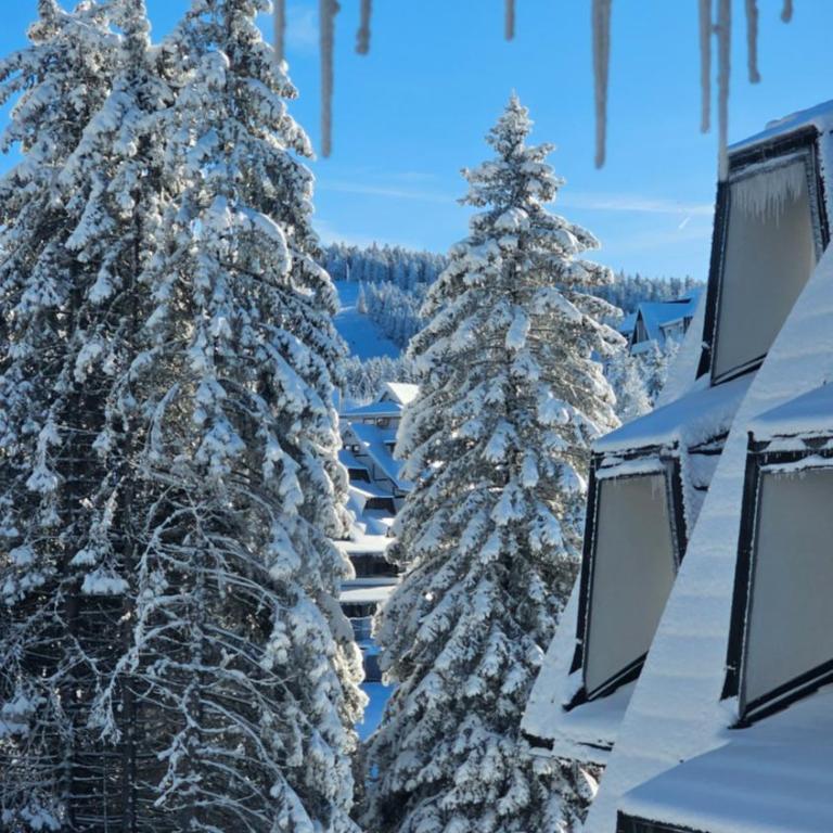 Silver Pine Kopaonik - Apartman sa 1 Spavaćom Sobom - 27