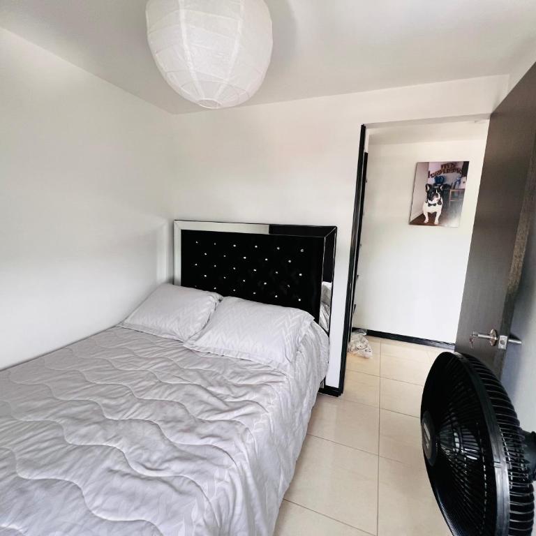 Apartamento en Pereira - Apartamento de 3 dormitorios - 20