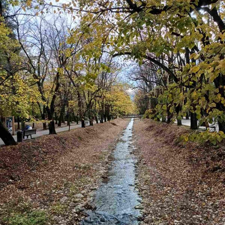 Nektar 88 - Apartman sa 1 Spavaćom Sobom - 49