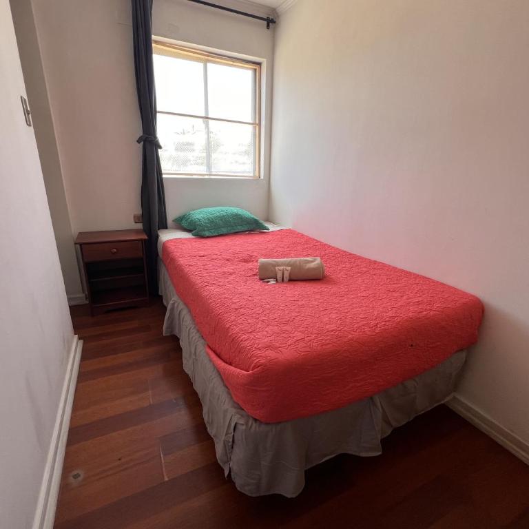 Hostal Arlegui - Viña Centro - Single Room with Private Bathroom - 1