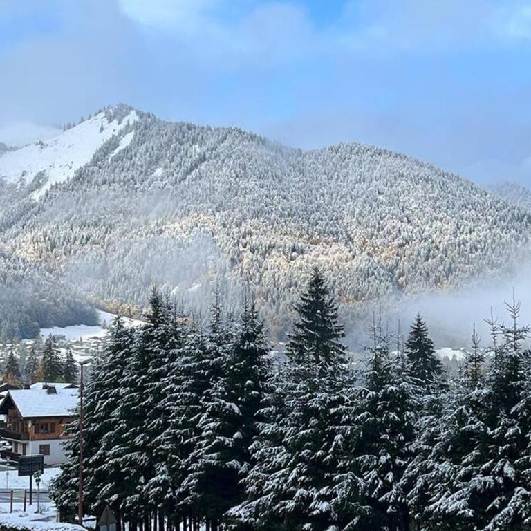 Les Chalets de Montriond B101 By Avecoeur - Appartement - 13