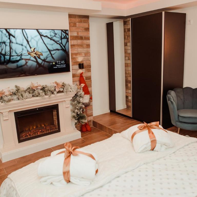 Passage apartment Subotica - One-Bedroom Apartment - 11