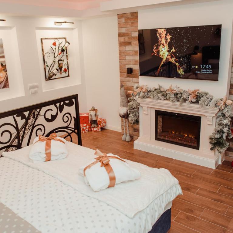 Passage apartment Subotica - One-Bedroom Apartment - 20