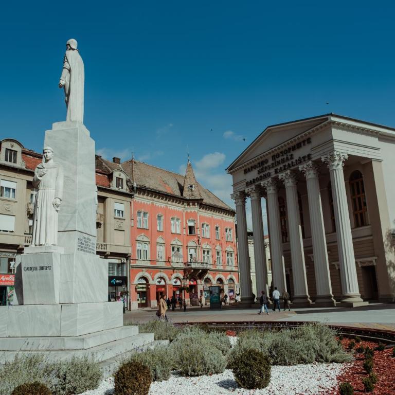 Passage apartment Subotica - One-Bedroom Apartment - 32
