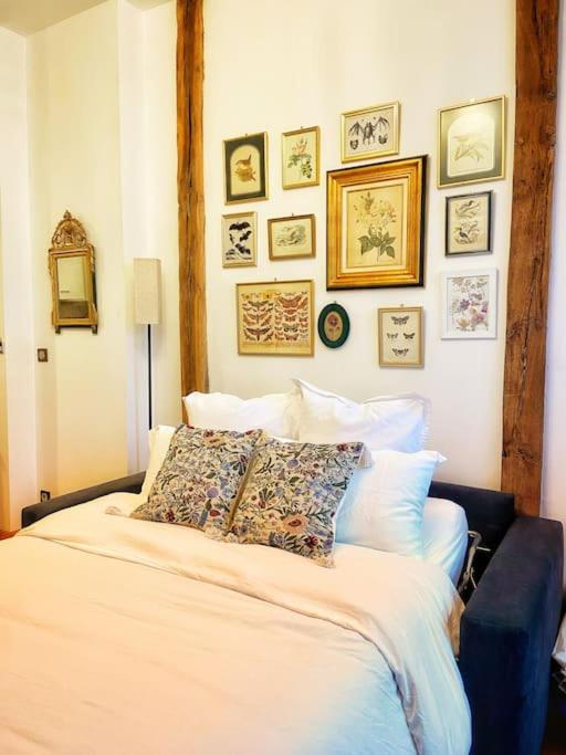 Cocon cosy dans la ville rose - Appartement 1 Chambre - 14
