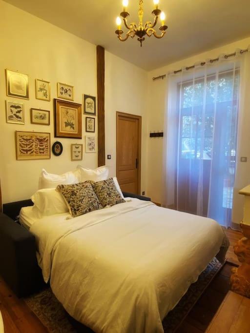 Cocon cosy dans la ville rose - Appartement 1 Chambre - 13