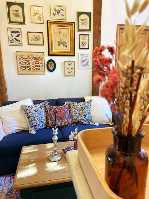 Cocon cosy dans la ville rose - Appartement 1 Chambre - 11