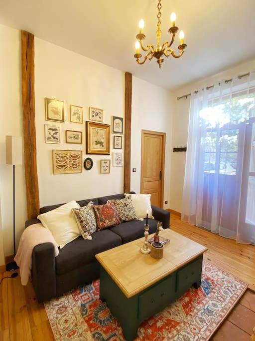 Cocon cosy dans la ville rose - Appartement 1 Chambre - 9