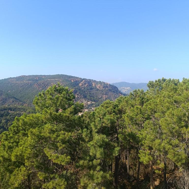 Ravissant T2 vue mer et massif - Les Clés de L´Estérel - Appartement 1 Chambre - 25