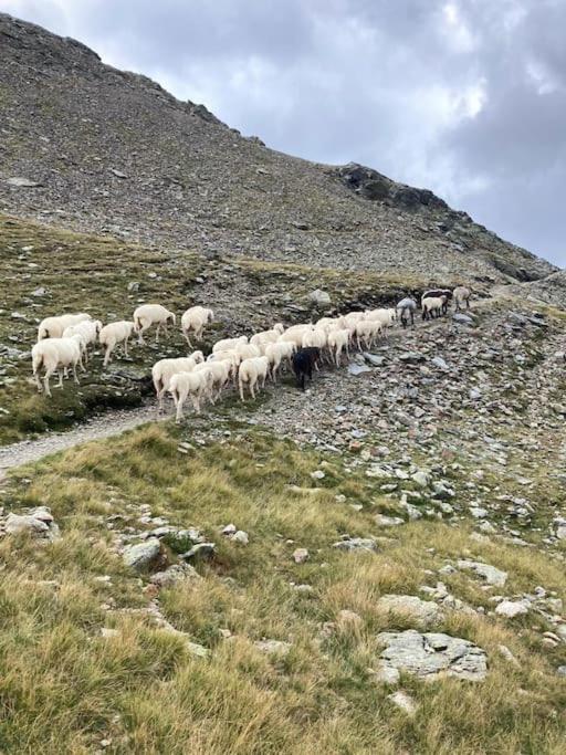 Verweilen auf Meran 2000 - Appartamento con 1 Camera da Letto - 32
