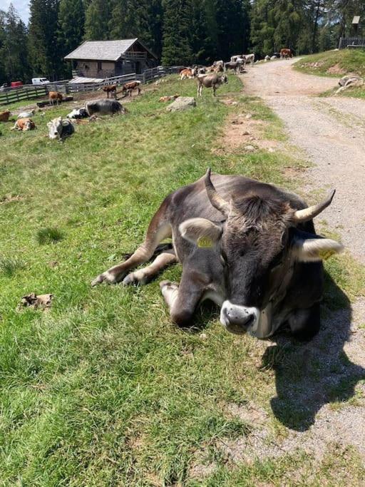 Verweilen auf Meran 2000 - Appartamento con 1 Camera da Letto - 34