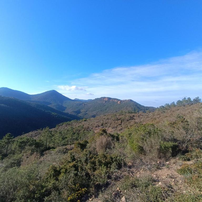 Appartement 3P traversant vue mer et forêt - Les clés de l´Estérel - Appartement 2 Chambres - 20
