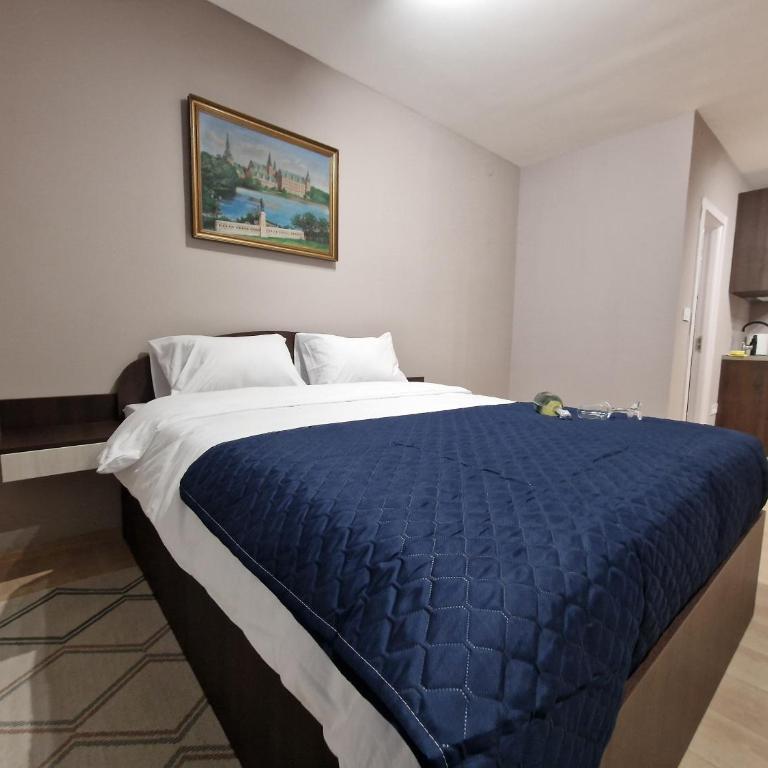 Center Prestige Apartments - Superior Studio - 5