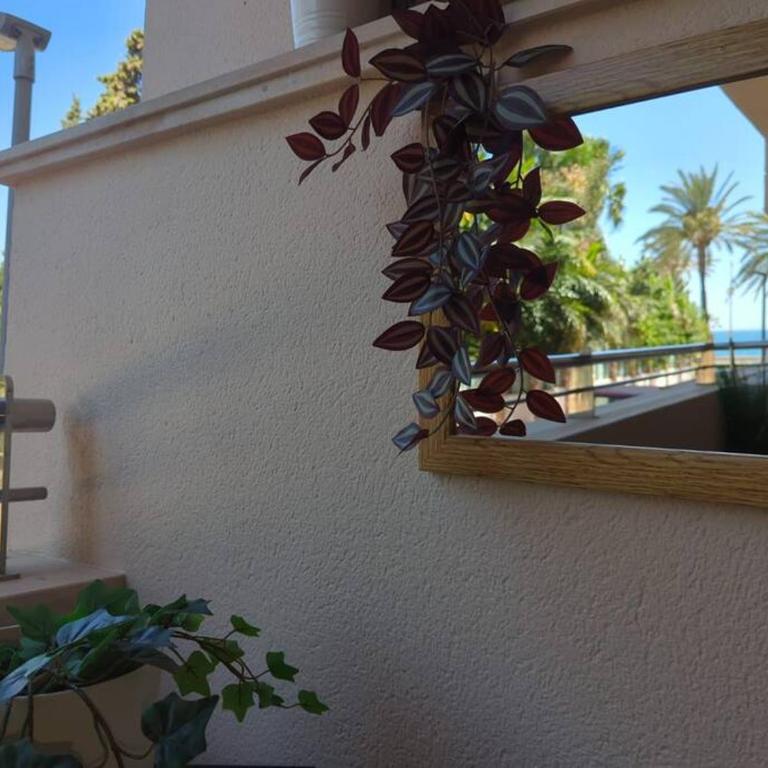Noray Playa seafront, San Pedro de Alcantara - Two-Bedroom Apartment - 23