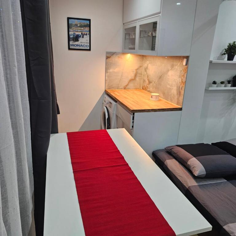 Lovely appartement near sea and Monaco with free parking - Appartement 1 Chambre - 44