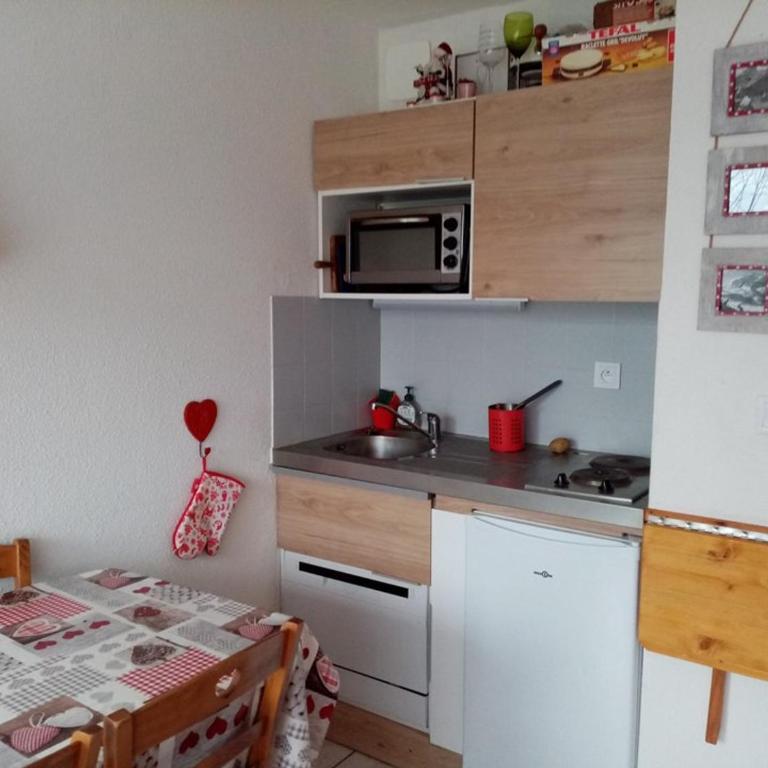 Studio cosy 4 pers, RDC, Sud, à 300m des pistes et 250m commerces, bien équipé, animaux admis. - Studio - 8