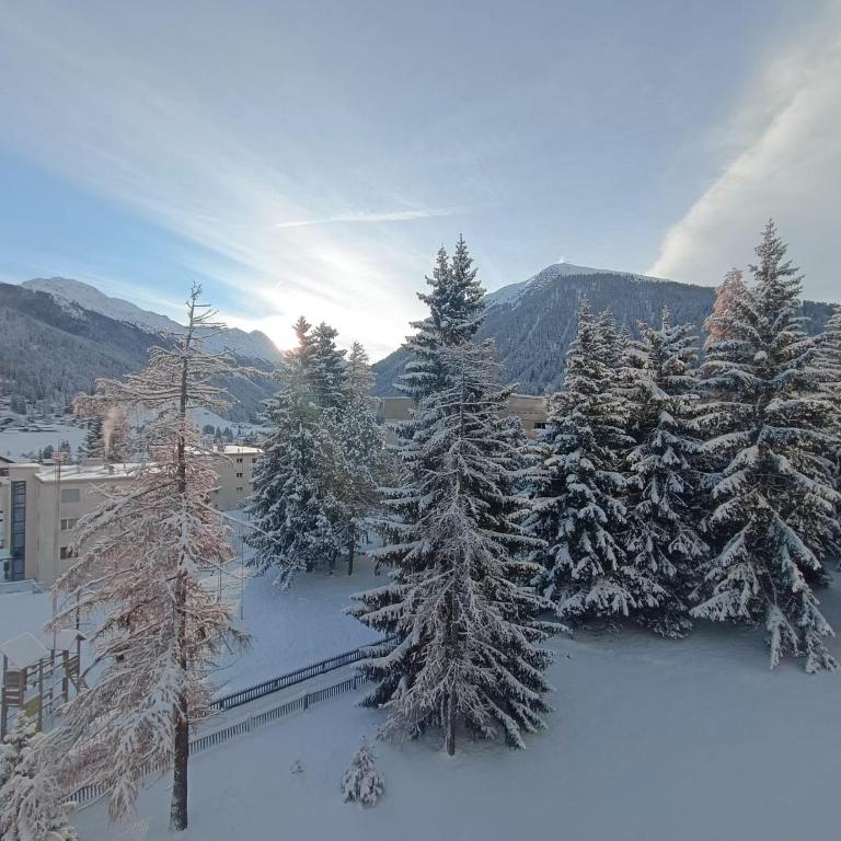 Ferienwohnung Parsenn Peaks Panorama - Apartment mit 1 Schlafzimmer - 1