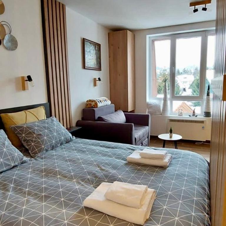 Apartman Jovanovic,Kopaonik - Deluks Studio - 1