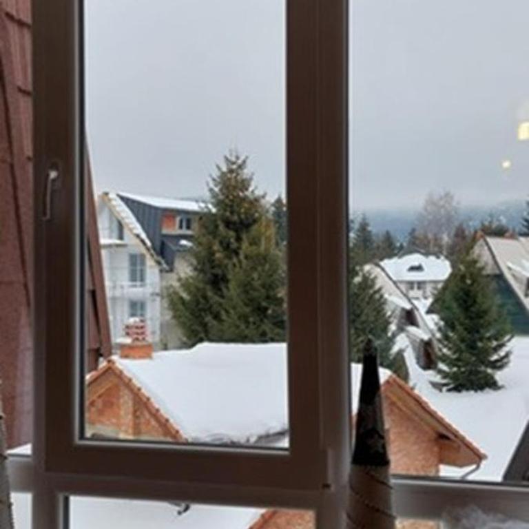 Apartman Jovanovic,Kopaonik - Deluks Studio - 3