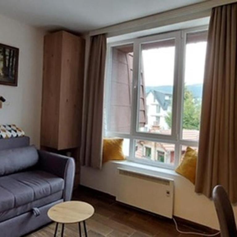 Apartman Jovanovic,Kopaonik - Deluks Studio - 7