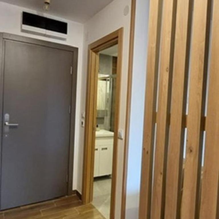Apartman Jovanovic,Kopaonik - Deluks Studio - 11