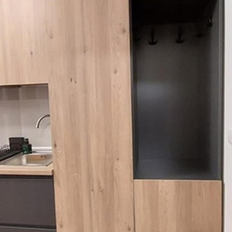 Apartman Jovanovic,Kopaonik - Deluks Studio - 13