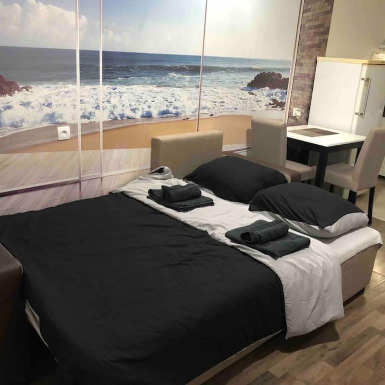 Sunshine apartman - Standardni Studio - 8