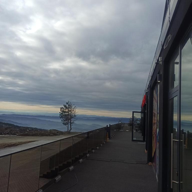 Apartman Maksimović Divčibare - Apartman s 1 Spavaćom Sobom i Terasom - 32