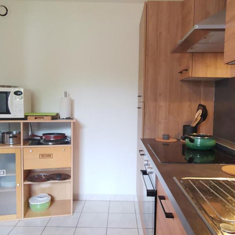Rêve de Bisca Appartement spacieux climatisé avec jardin privatif piscine et parking privés - Appartement 1 Chambre - 87