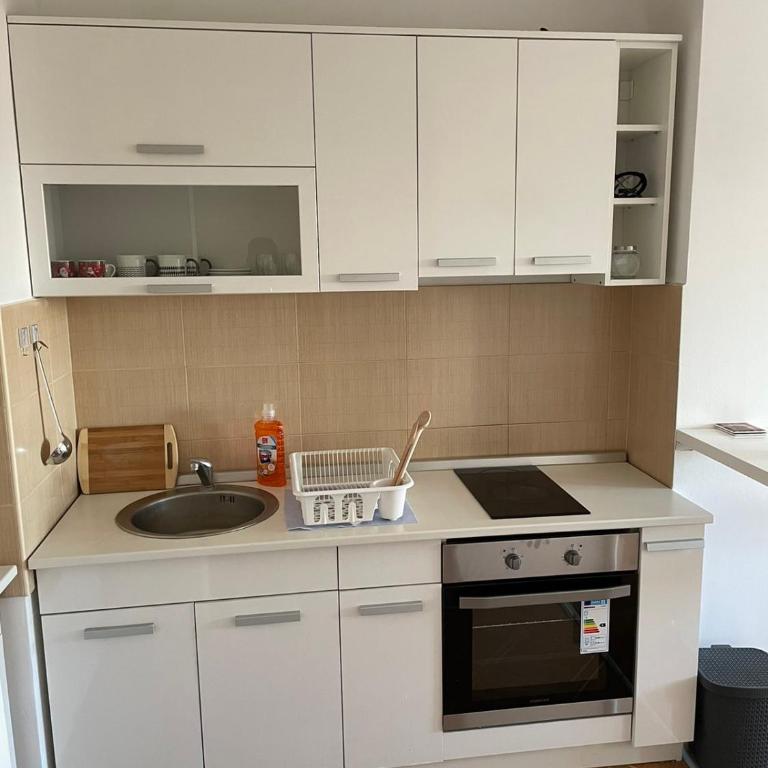 LV Apartments - Apartman sa 1 Spavaćom Sobom - 10