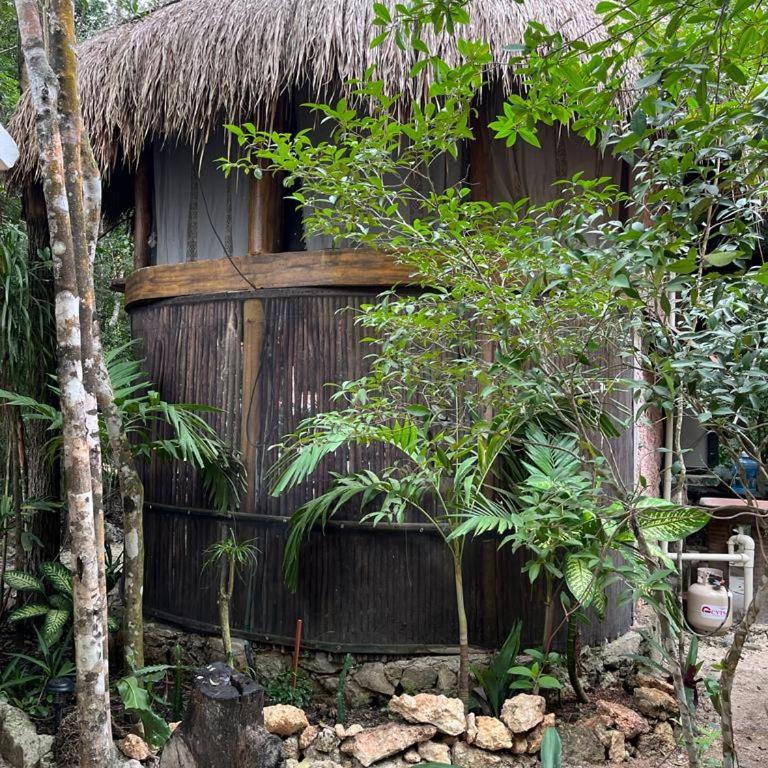 Casa & Palapa de la Selva - Three-Bedroom House - 19