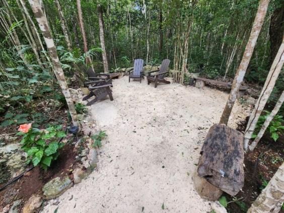 Casa & Palapa de la Selva - Three-Bedroom House - 13