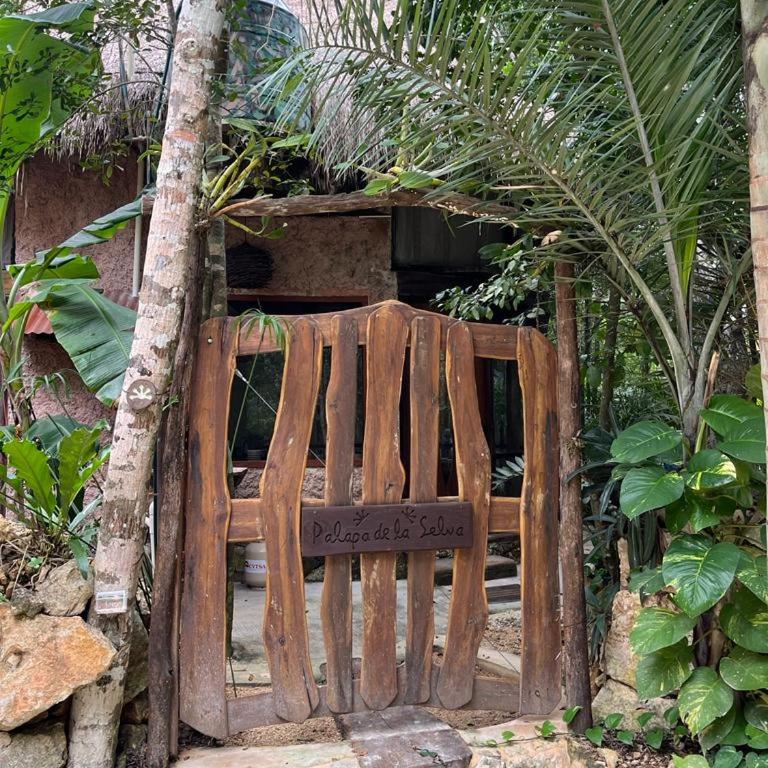 Casa & Palapa de la Selva - Three-Bedroom House - 23
