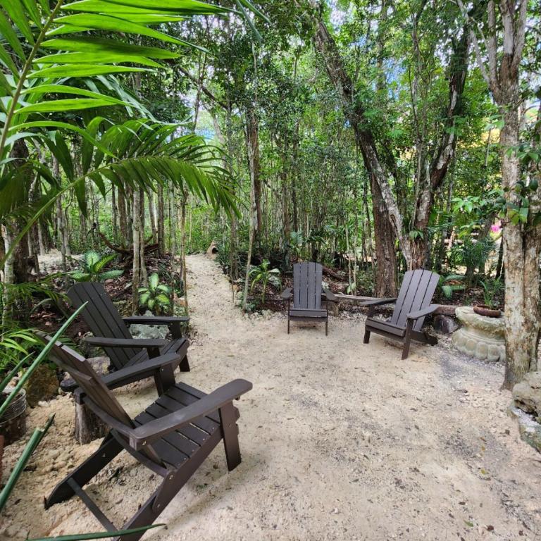 Casa & Palapa de la Selva - Three-Bedroom House - 24