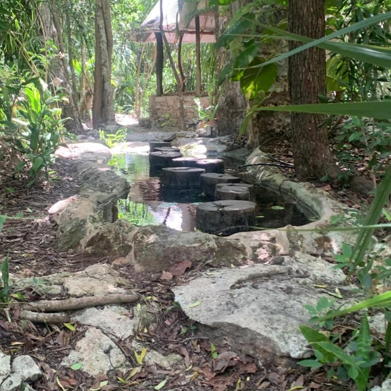 Casa & Palapa de la Selva - Three-Bedroom House - 27