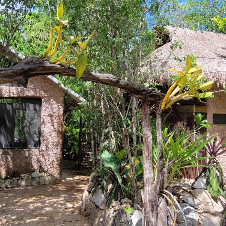 Casa & Palapa de la Selva - Three-Bedroom House - 1
