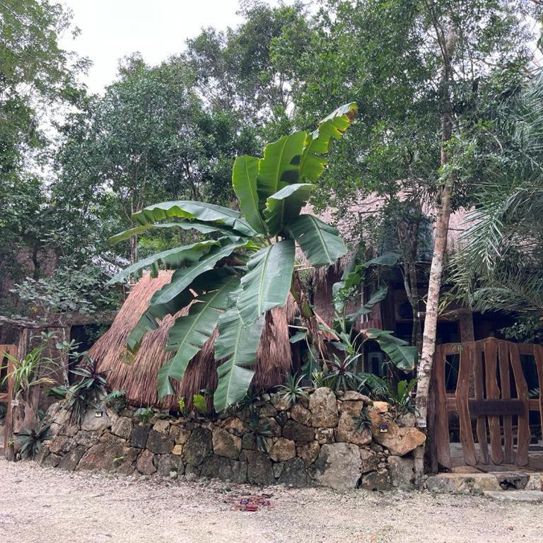 Casa & Palapa de la Selva - Three-Bedroom House - 40