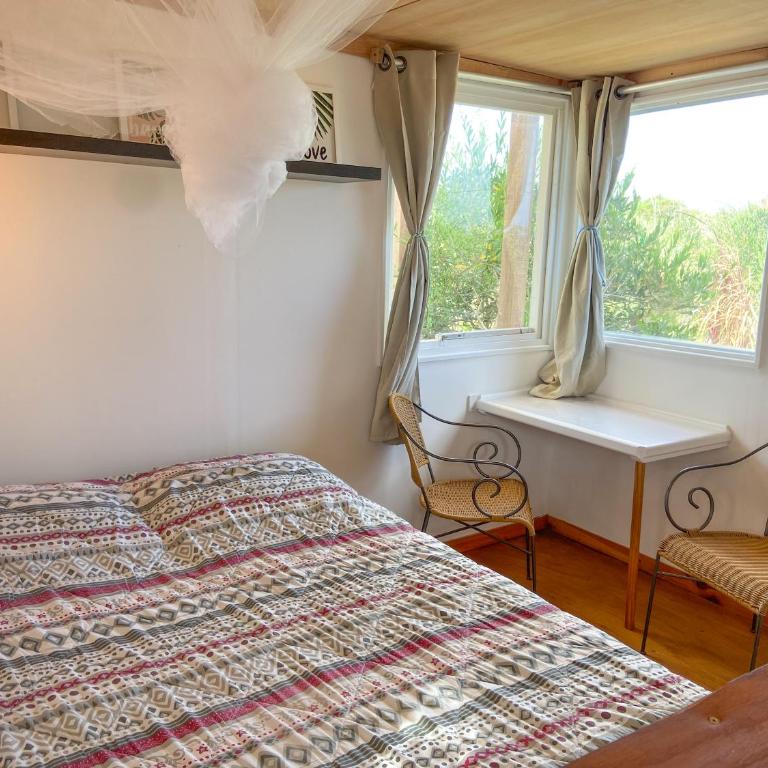 Luna roja - Apartamento de 1 dormitorio - 8