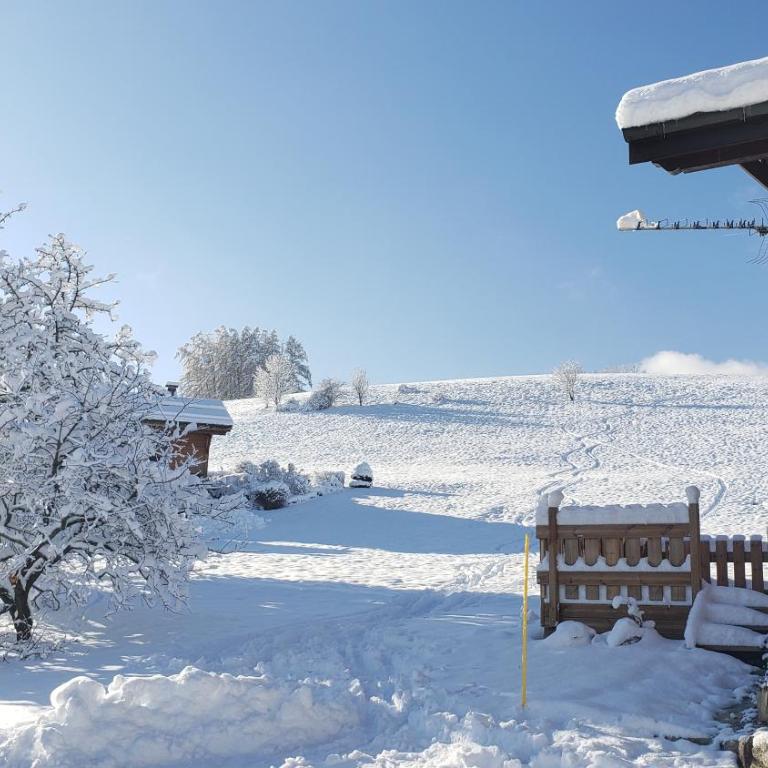 Le Mazot de Janton - Chalet 2 Chambres - 5
