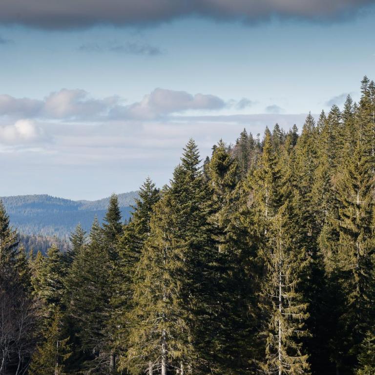 Apartmani Aria Jahorina - Two-Bedroom Apartment - 7