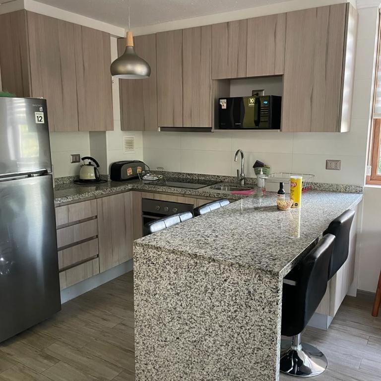 Departamento Pucón - Parque Condominio Castaños de Alicura - Apartamento con vistas a la piscina - 6