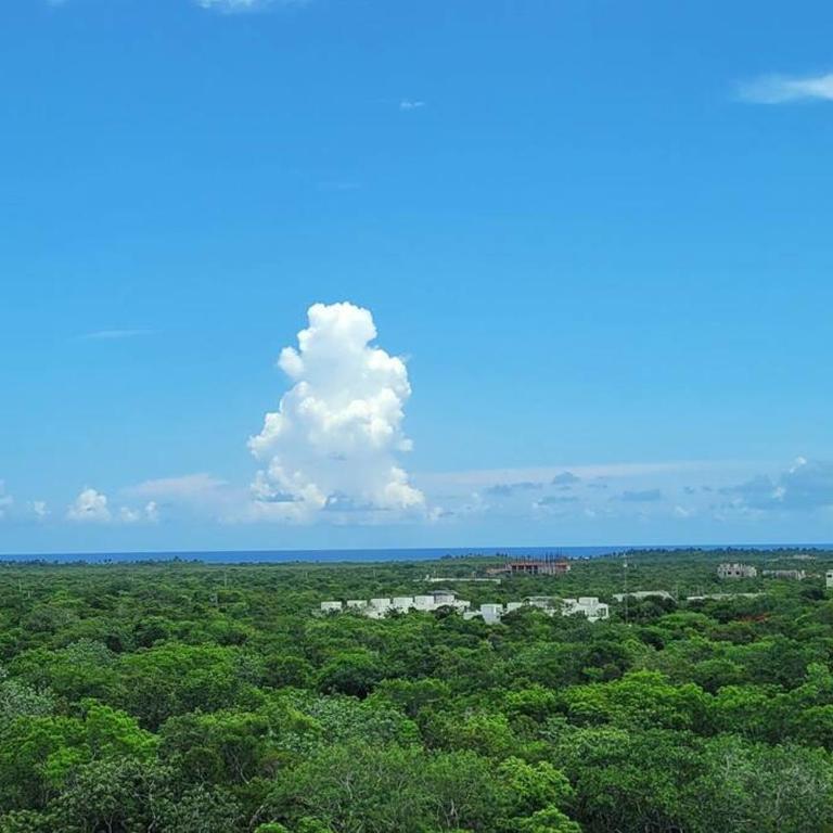 Luxury Jungle Loft, 7 Pools, Rooftop Panoramic View, Beach Shuttle, Fast WiFi - One-Bedroom Apartment - 46