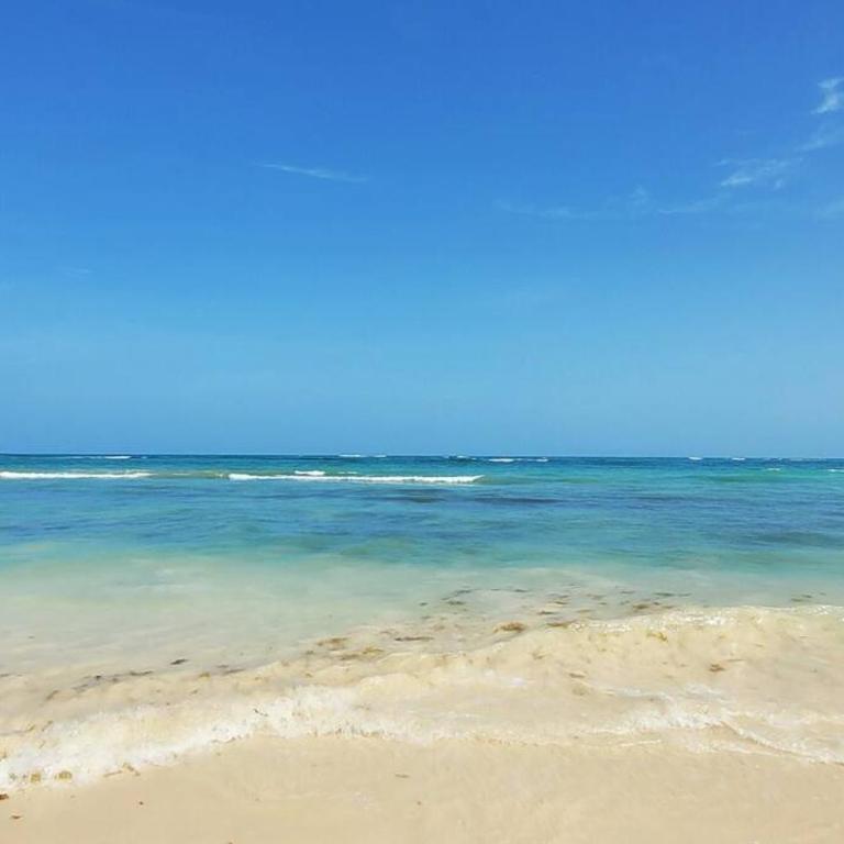 Luxury Jungle Loft, 7 Pools, Rooftop Panoramic View, Beach Shuttle, Fast WiFi - One-Bedroom Apartment - 53