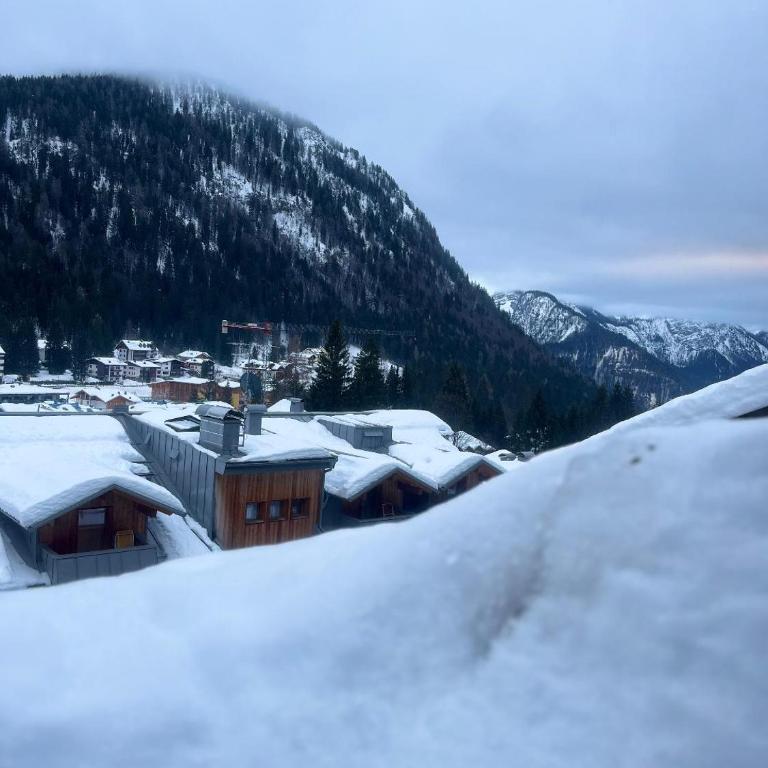 Mansarda delle Dolomiti - Appartamento con 1 Camera da Letto - 60