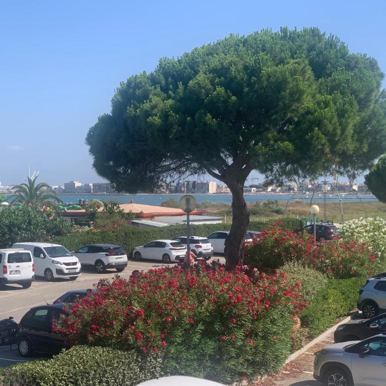 studio bord de mer - Apartment mit 1 Schlafzimmer - 17