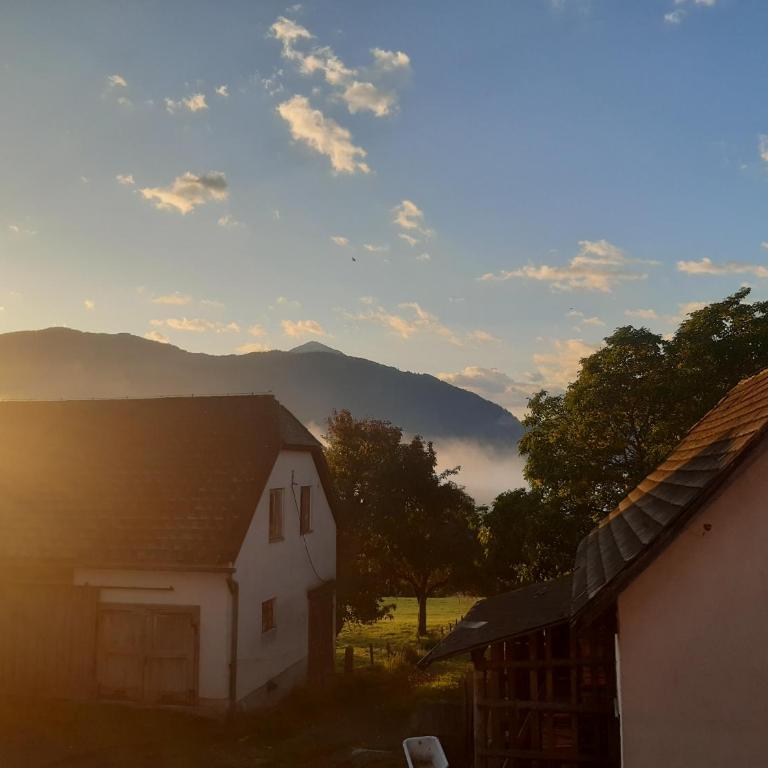 Appartement Berndlhof Mitterberg - Gröbming - Schladming - Appartement avec Balcon - 11