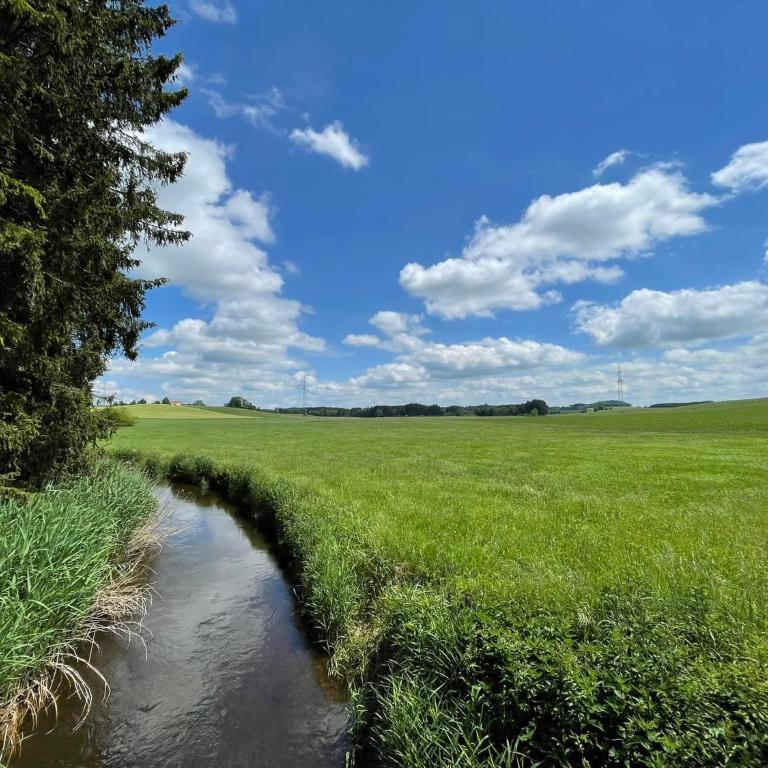 Ferienwohnung Hintermoos - Apartment mit 3 Schlafzimmern - 54