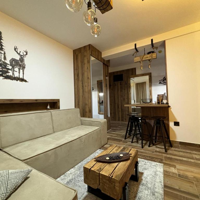 Apartman 16 Pancic - Apartman sa 1 Spavaćom Sobom - 2